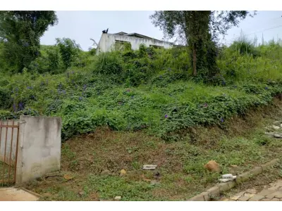 LOTE 001 - MEAÇÃO CORRESPONDENTE A MARIO VEZARO (ISTO É 50% DO TERRENO DE 900,00 M² NA ESQUINA DAS RUAS JOSÉ RAMOS COM JOÃO BARILKA, EM CALMON/SC