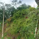 TERRENO DE 656M², RUA MANOEL QUINTILHAN MORGADE, CENTRO - JOAÇABA/SC.