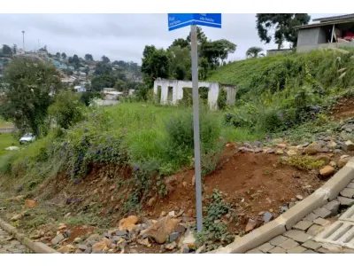 LOTE 001 - meação correspondente a Mario Vezaro (isto é 50% do terreno de 900,00 m² na esquina das ruas José Ramos com João Barilka, em Calmon/SC