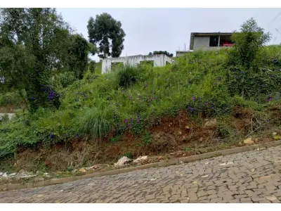 LOTE 001 - meação correspondente a Mario Vezaro (isto é 50% do terreno de 900,00 m² na esquina das ruas José Ramos com João Barilka, em Calmon/SC