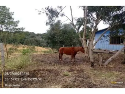 LOTE 0003 - Imóvel 31.632m², na Estrada Geral, S/N,  Vila Nova, Mafra/SC.