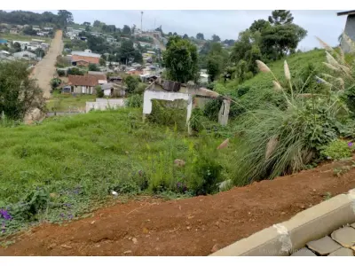 LOTE 001 - meação correspondente a Mario Vezaro (isto é 50% do terreno de 900,00 m² na esquina das ruas José Ramos com João Barilka, em Calmon/SC