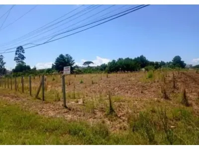 LOTE 0008 - Imóvel de 15.582,69 m², localizado na Rodovia BR-280, S/N, Bairro Bela Vista, em Rio Negrinho/ SC