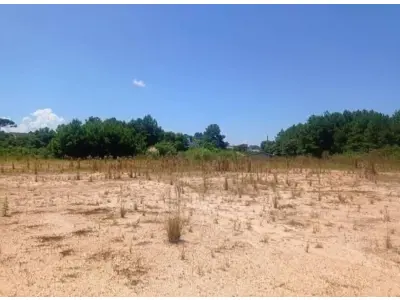 Lote 009 - imóvel de 15.582,69 m², localizado na rodovia br-280, s/n, bairro bela vista, em rio negrinho/ sc