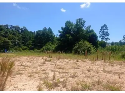 LOTE 0008 - Imóvel de 15.582,69 m², localizado na Rodovia BR-280, S/N, Bairro Bela Vista, em Rio Negrinho/ SC
