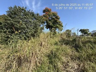 LOTE 001 - - Imóvel 4.725m2 na Rua Blumenau, S/N, Araponguinhas, Timbó/SC.