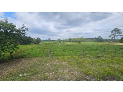 LOTE 012 - Terreno de 20.020,00 m², na Rodovia do Arroz, Joinville/SC