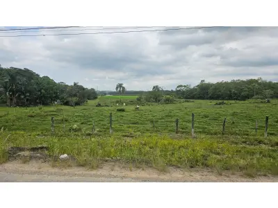 LOTE 012 - Terreno de 20.020,00 m², na Rodovia do Arroz, Joinville/SC