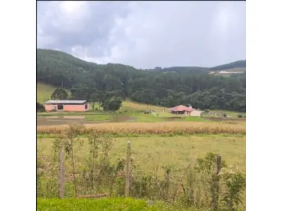 LOTE 001 - Terreno rural 186.855m², LINHA RIO BUGRE, 0, INTERIOR, Caçador/SC - 89500000