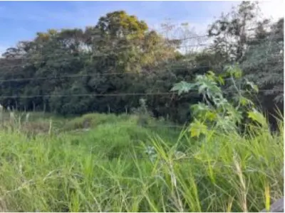 LOTE 0021 - Terreno de  267,61m²,  na Avenida Getulio Vargas, S/N, João Paulo II, Irati/PR.