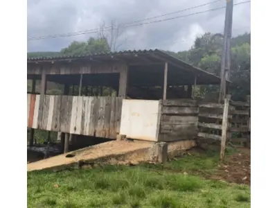 LOTE 001 - Terreno rural 186.855m², LINHA RIO BUGRE, 0, INTERIOR, Caçador/SC - 89500000