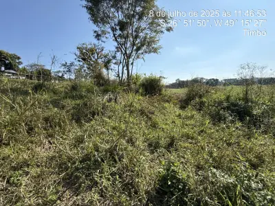 LOTE 001 - - Imóvel 4.725m2 na Rua Blumenau, S/N, Araponguinhas, Timbó/SC.