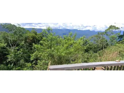 LOTE 002 - Área rural de Mata Fechada, com 614.300,00 m², na Estrada Rio Natal (Humboldt), São Bento do Sul - SC