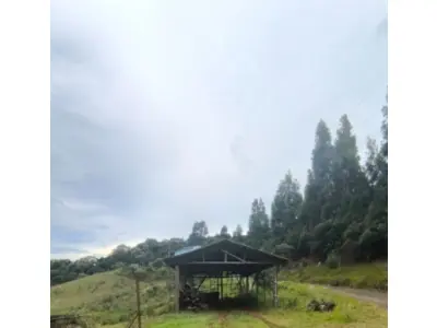LOTE 001 - Terreno rural 186.855m², LINHA RIO BUGRE, 0, INTERIOR, Caçador/SC - 89500000