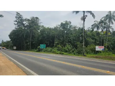 LOTE 011 - Terreno de 25.000 m2 as margens BR 280, bairro Nereu Ramos, Jaraguá do Sul - SC