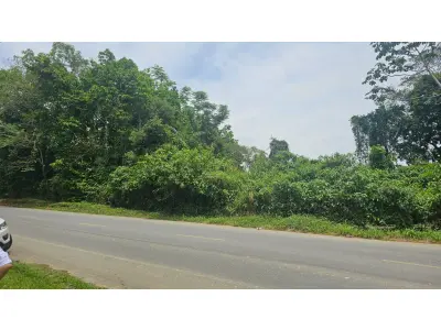 LOTE 004 - Dois imóveis Urbanos, na Estrada do Bananal, Guaramirim/SC.