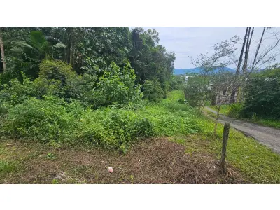 LOTE 011 - Terreno de 25.000 m2 as margens BR 280, bairro Nereu Ramos, Jaraguá do Sul - SC