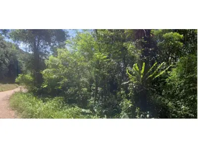 LOTE 002 - Área rural de Mata Fechada, com 614.300,00 m², na Estrada Rio Natal (Humboldt), São Bento do Sul - SC