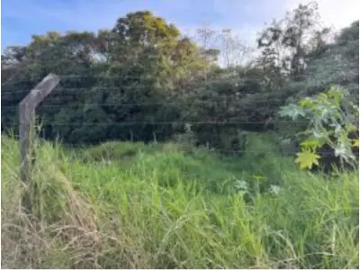 LOTE 0021 - Terreno de  267,61m²,  na Avenida Getulio Vargas, S/N, João Paulo II, Irati/PR.