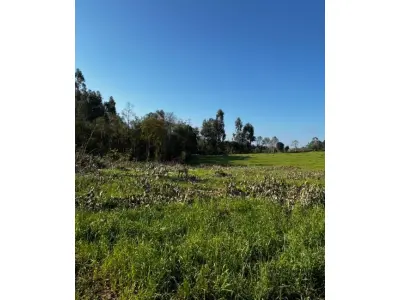 LOTE 001 - Terreno Rural 6,208500 ha, na Linha Ribeirão da Prata, Rio da Prata, no interior do município de Rio do Campo/SC