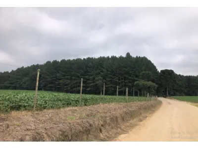 LOTE 001 - Imóvel Rural 70.111,49m², Mafra/SC.