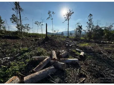 LOTE 001 - Terreno Rural 6,208500 ha, na Linha Ribeirão da Prata, Rio da Prata, no interior do município de Rio do Campo/SC