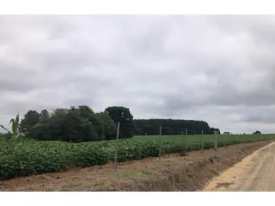 LOTE 001 - Imóvel Rural 70.111,49m², Mafra/SC.