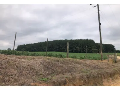 LOTE 001 - Imóvel Rural 70.111,49m², Mafra/SC.