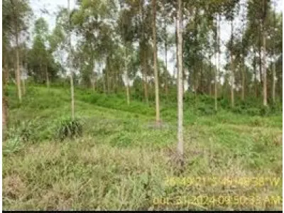 LOTE 003 - Terreno rural de  13,85 ha, na Serra das Abelhas, S/Nº, parte do lote n°29, Bairro Interior, em Vitor Meireles/SC,