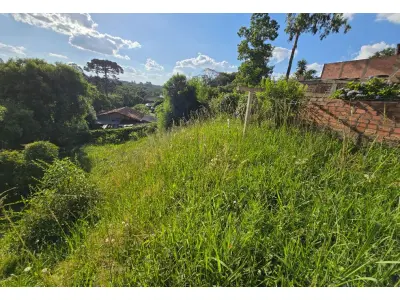LOTE 001 - - Casa na Rua Vereador Frederico Haag, número 760, em Canoinhas / SC,