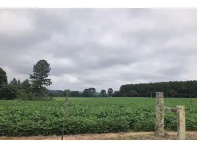 LOTE 001 - Imóvel Rural 70.111,49m², Mafra/SC.