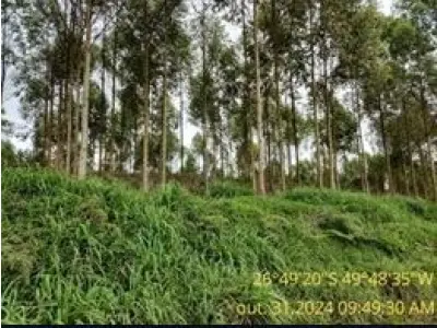 LOTE 003 - Terreno rural de  13,85 ha, na Serra das Abelhas, S/Nº, parte do lote n°29, Bairro Interior, em Vitor Meireles/SC,