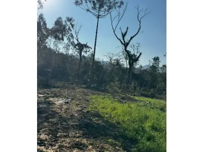LOTE 001 - Terreno Rural 6,208500 ha, na Linha Ribeirão da Prata, Rio da Prata, no interior do município de Rio do Campo/SC