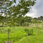 FRAÇÃO IDEAL DE 5.902,60 M², DE PROPRIEDADE DE MARILENE HEIDEN, DO IMÓVEL DESCRITO NA MATRÍCULA N. 45.880, DO CARTÓRIO DE REGISTRO DE IMÓVEIS DE SÃO BENTO DO SUL/SC