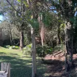 LOTE 0005 - Imóvel de 3.718,95 m², Rua Jose Robel, S/N - COLONIAL - SÃO BENTO DO SUL