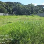 LOTE 0002 - Imóvel de 1.500,000 m², Rua Hugo Simas, S/N, Baixo da Lapa, Lapa/PR