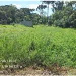 LOTE 0002 - Imóvel de 1.500,000 m², Rua Hugo Simas, S/N, Baixo da Lapa, Lapa/PR