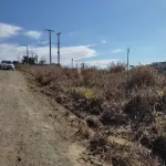 LOTE 001 - Imóvel de 11.640,40m², Cento II Alto de Mafra,  MAfra/SC.