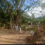 LOTE 0010 - Casa na Rua Joachim Parey Nº 24, Pedra de Amolar, Corupá/ SC.