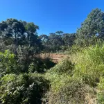 LOTE 0005 - Imóvel de 3.718,95 m², Rua Jose Robel, S/N - COLONIAL - SÃO BENTO DO SUL