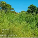 LOTE 0006 - Imóvel 660m², no bairro São Braz, União da Vitória/PR.