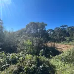 LOTE 0005 - Imóvel de 3.718,95 m², Rua Jose Robel, S/N - COLONIAL - SÃO BENTO DO SUL
