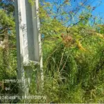 LOTE 0006 - Imóvel 660m², no bairro São Braz, União da Vitória/PR.