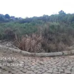LOTE 0009 - Imóvel 234,350 m², localizado na Rua Alexandre Lobas, S/N, Bairro Centro, na cidade de General Carneiro - PR