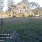 LOTE 0014 - Imóvel 997,380 m², localizado na Rua Ambrósio Augusto da Silva, S/N, Bairro Serra Alta, na cidade de São Bento do Sul - SC
