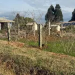 LOTE 001 - Imóvel 5.145,46 m², Rua Projetada A, S/Nº, lote n°12 da quadra n°02, Bairro Jangada do Sul em General Carneiro/PR