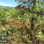LOTE 0017 - terras rurais, situada na localidade denominada “Arroio do Gado”, no município de General Carneiro, desta Comarca de União da Vitória, Estado do Paraná, com a área de 108.900,00mts²