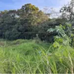 LOTE 0021 - Terreno de  267,61m²,  na Avenida Getulio Vargas, S/N, João Paulo II, Irati/PR.