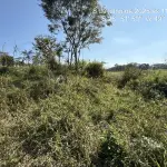 LOTE 001 - - Imóvel 4.725m2 na Rua Blumenau, S/N, Araponguinhas, Timbó/SC.