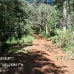 LOTE 0017 - terras rurais, situada na localidade denominada “Arroio do Gado”, no município de General Carneiro, desta Comarca de União da Vitória, Estado do Paraná, com a área de 108.900,00mts²